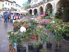 Greve in Chianti70